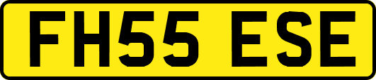 FH55ESE