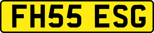 FH55ESG