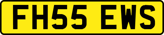 FH55EWS