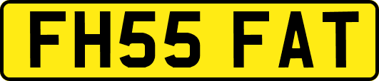 FH55FAT