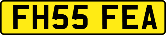 FH55FEA
