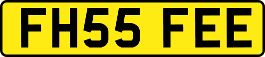 FH55FEE