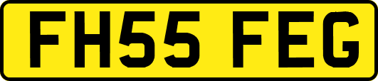 FH55FEG