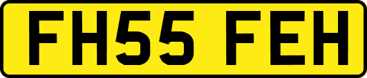 FH55FEH