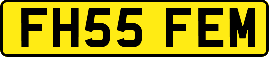 FH55FEM