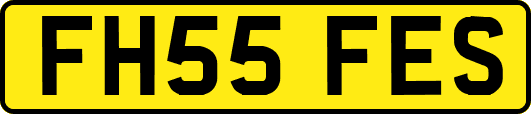 FH55FES