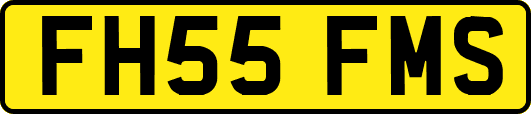 FH55FMS