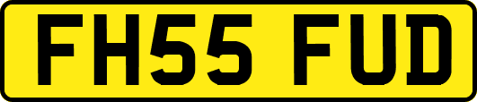 FH55FUD