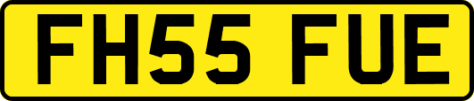FH55FUE