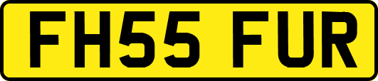 FH55FUR