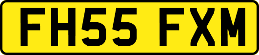 FH55FXM