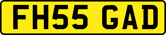 FH55GAD