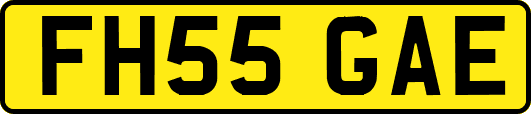 FH55GAE