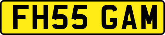 FH55GAM