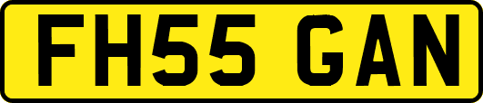 FH55GAN