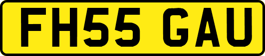 FH55GAU