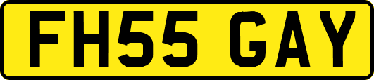 FH55GAY