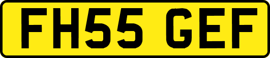 FH55GEF