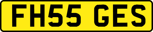FH55GES