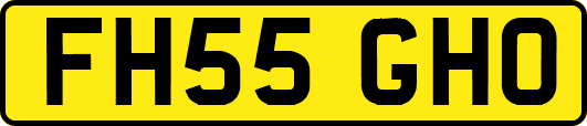 FH55GHO