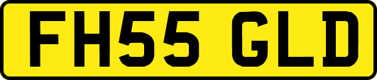 FH55GLD
