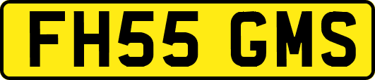 FH55GMS