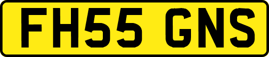 FH55GNS