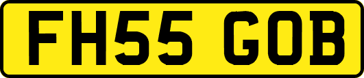 FH55GOB