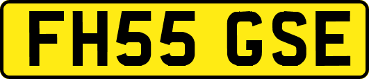 FH55GSE