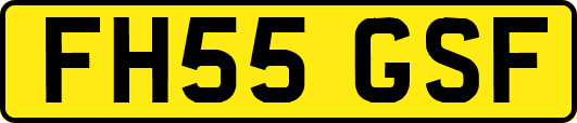FH55GSF