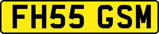 FH55GSM