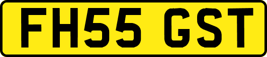 FH55GST