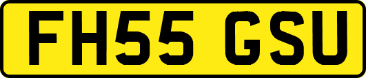 FH55GSU