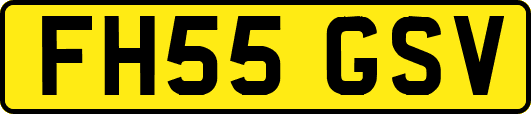 FH55GSV