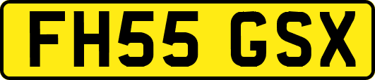 FH55GSX