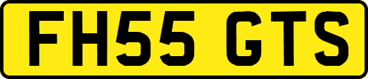 FH55GTS