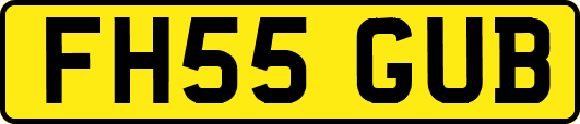 FH55GUB