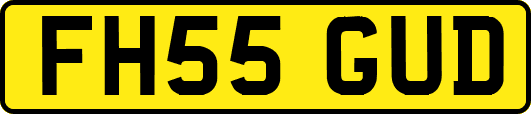 FH55GUD
