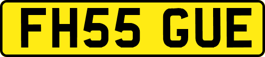 FH55GUE
