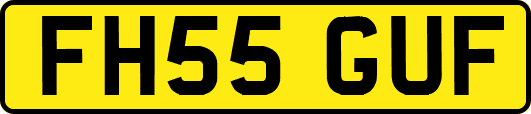 FH55GUF