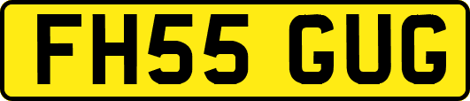 FH55GUG