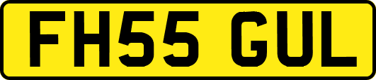 FH55GUL