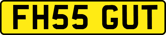 FH55GUT