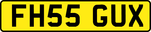 FH55GUX