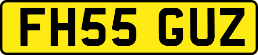 FH55GUZ