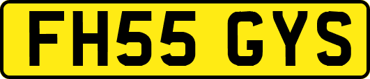 FH55GYS