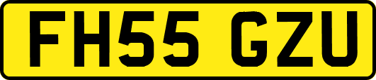 FH55GZU