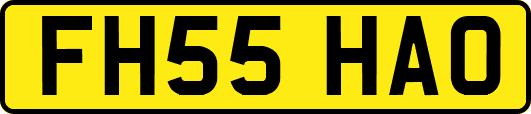 FH55HAO