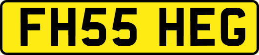 FH55HEG