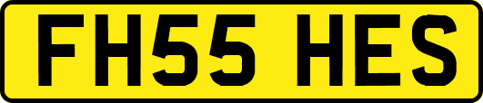 FH55HES